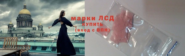 мет Алексин