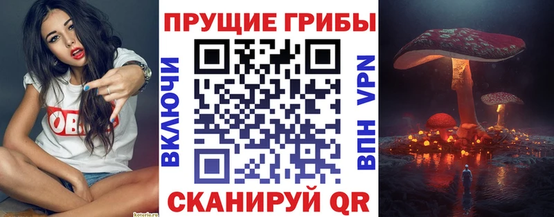 Псилоцибиновые грибы ЛСД наркотики Ирбит